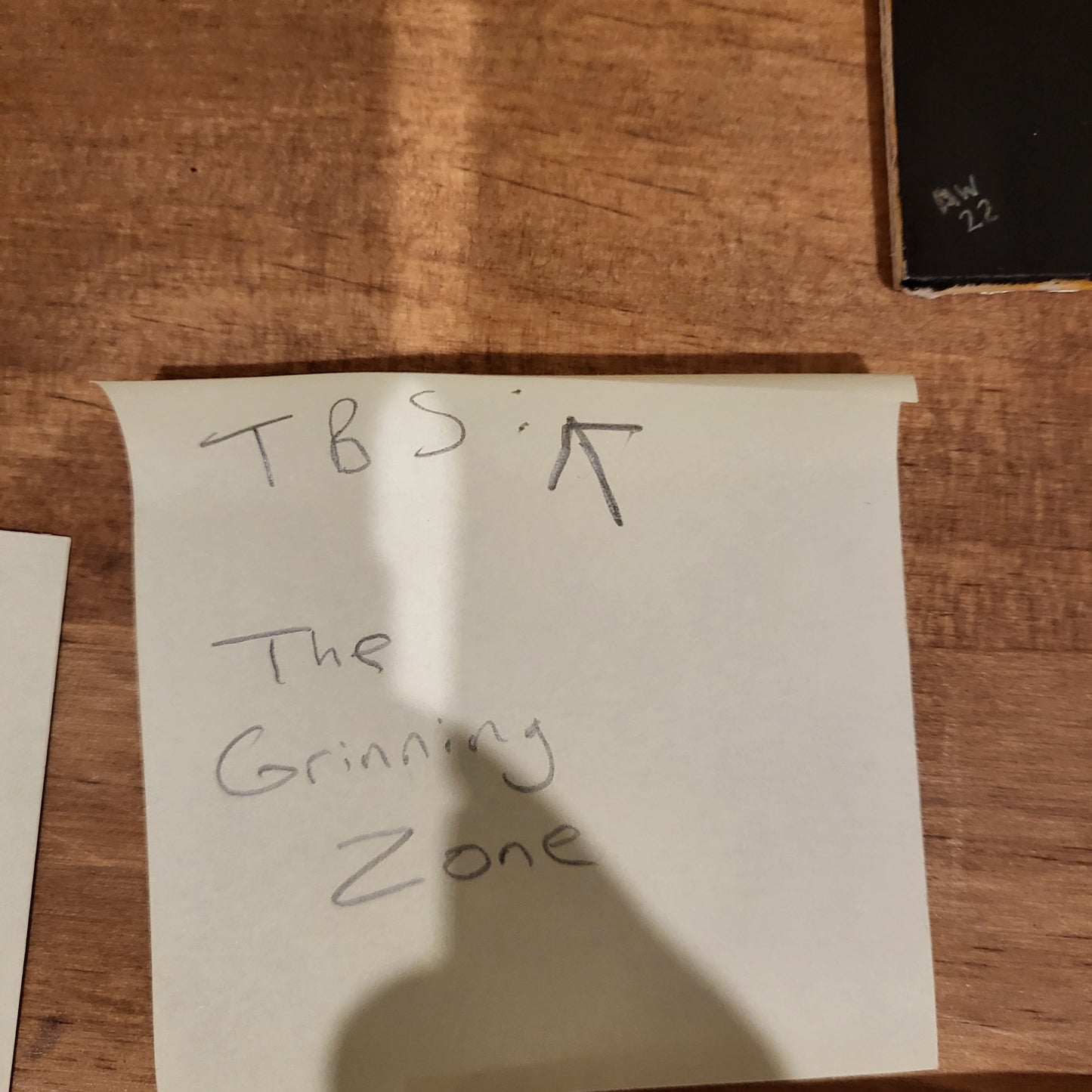 Original Artwork: The Grinning Zone