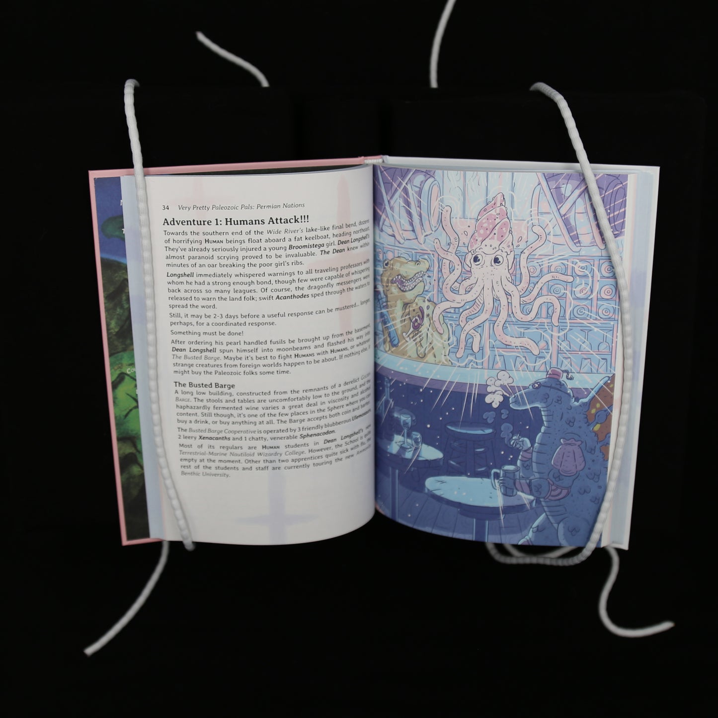 Very Pretty Paleozoic Pals: Permian Nations