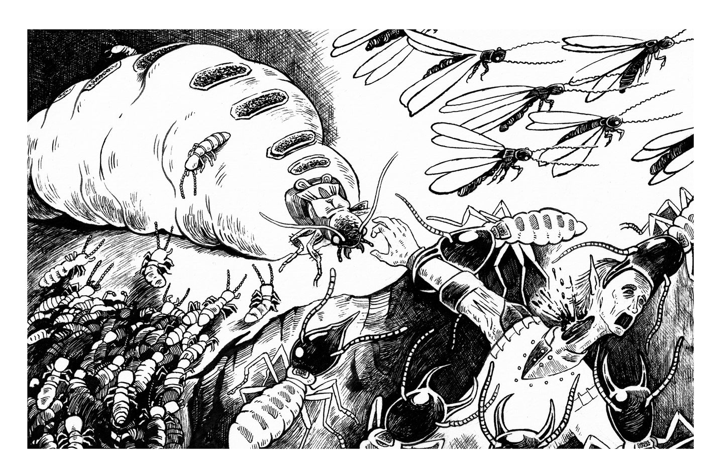 Crowdfunding: Witch-War to the Vale of Forbiddiction and Beyond