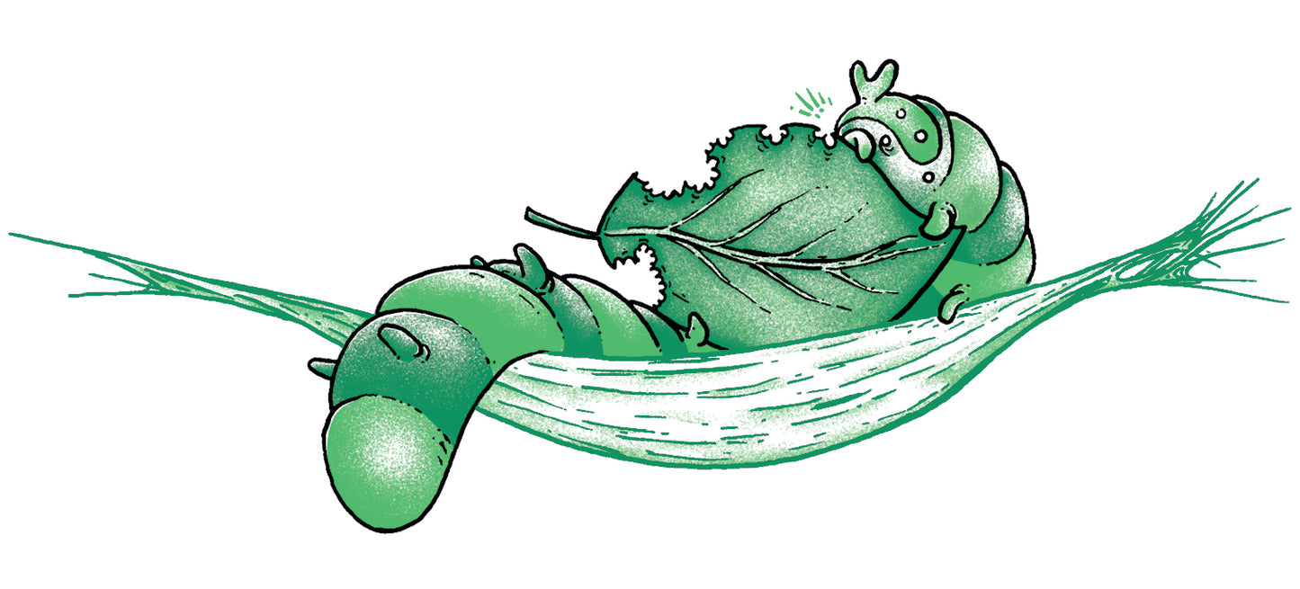 Crowdfunding: The Perilous Pear & Plum Pies of Pudwick