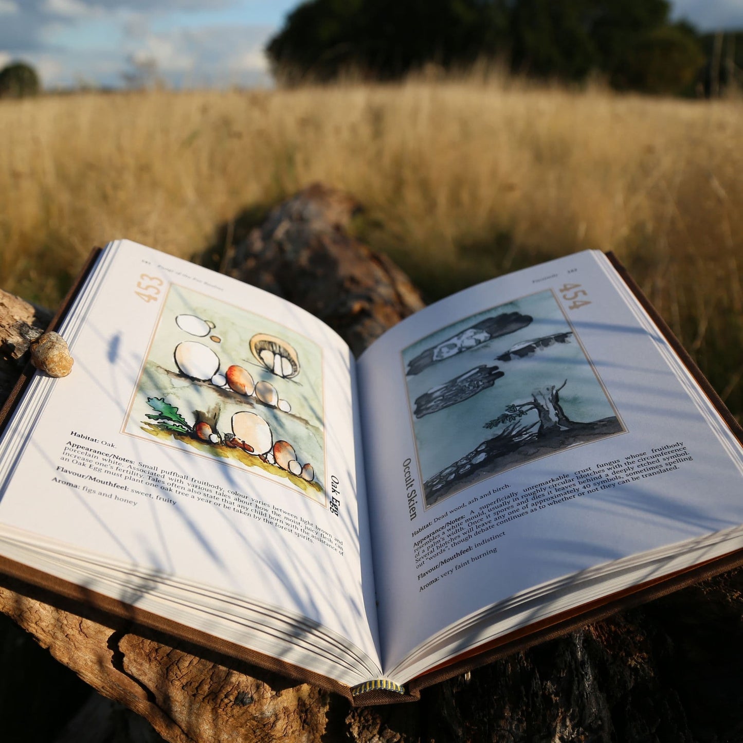 Fungi of the Far Realms