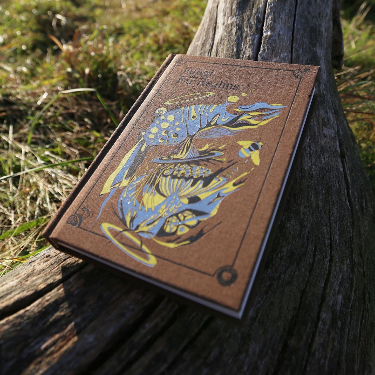 Fungi of the Far Realms